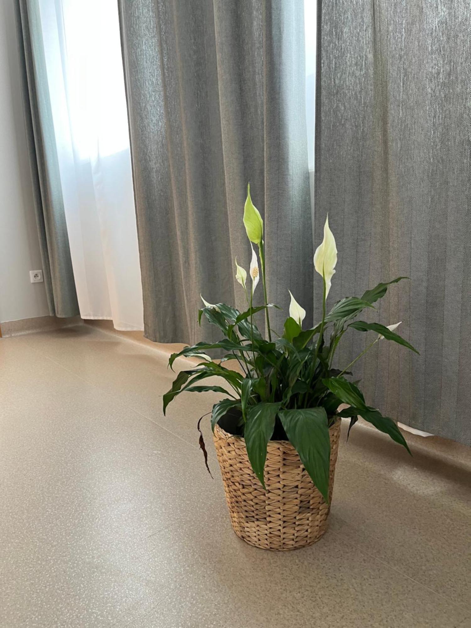 Osrodek Konferencyjno-Wypoczynkowy Hostel Chojna ภายนอก รูปภาพ